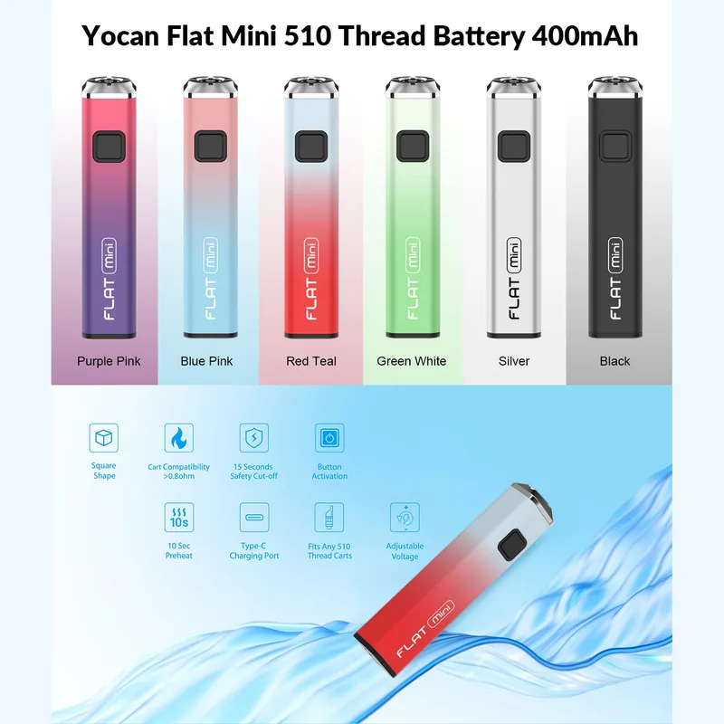 Flat 2.0 Mini Battery
