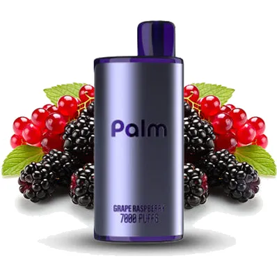 Palm 7000