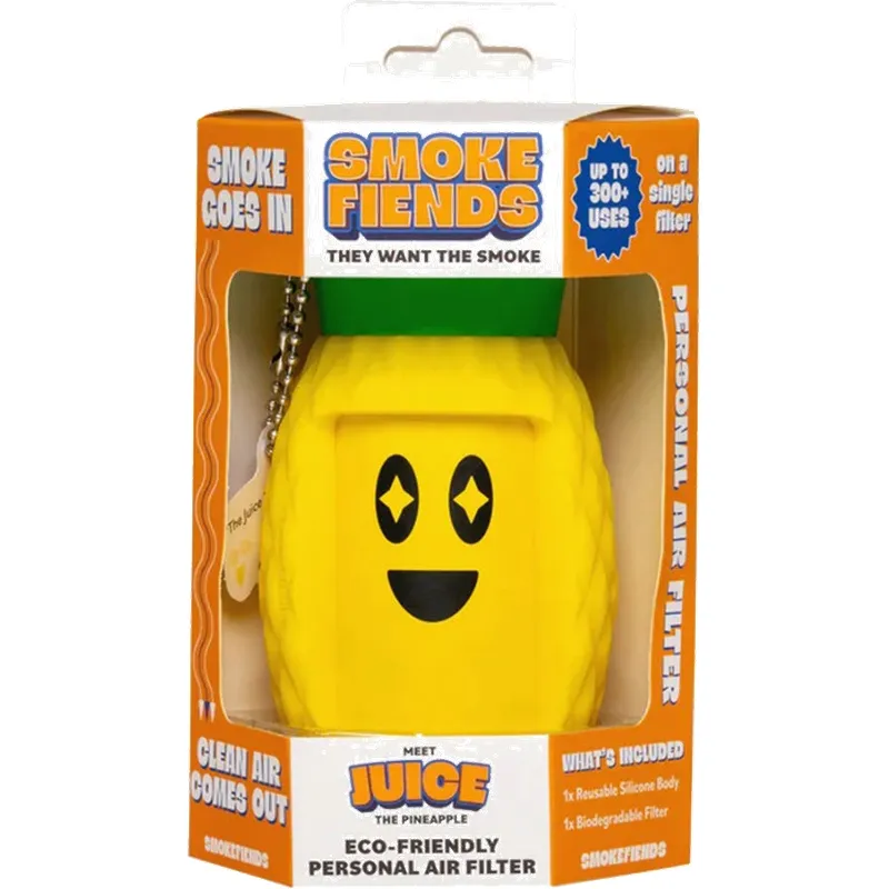Personal Air Filter